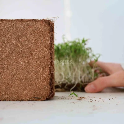 Substrat à base de fibre de coco MP SEEDS