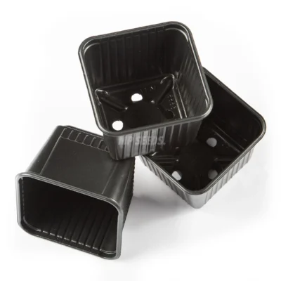 Pots professionnels pour micro-pousses