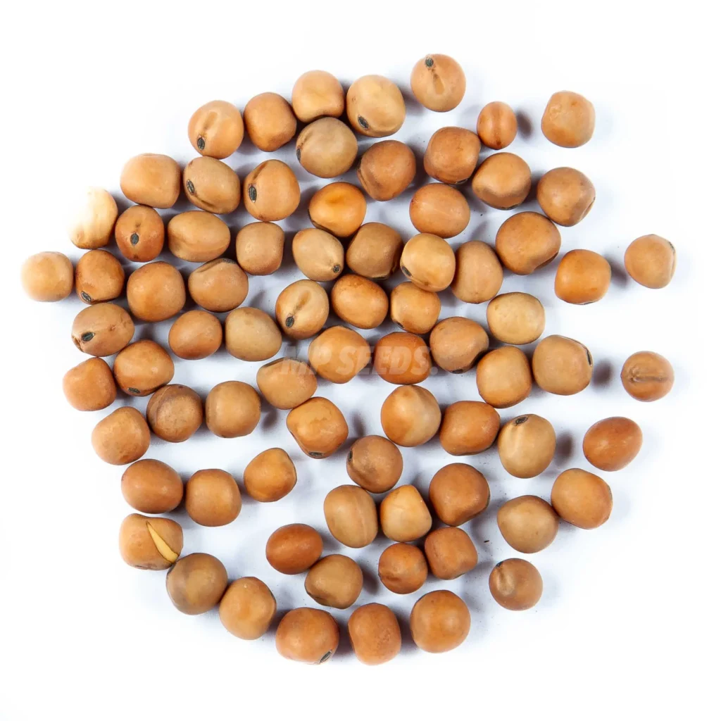 Graines de pois