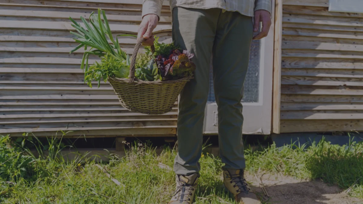 micro-pousses vs légumes