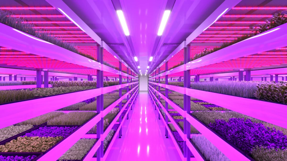 mpseeds-2025-sales-data