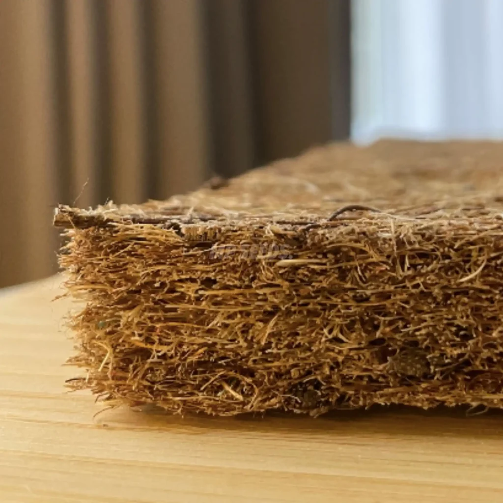 Cocomat pour la culture de micro-pousses