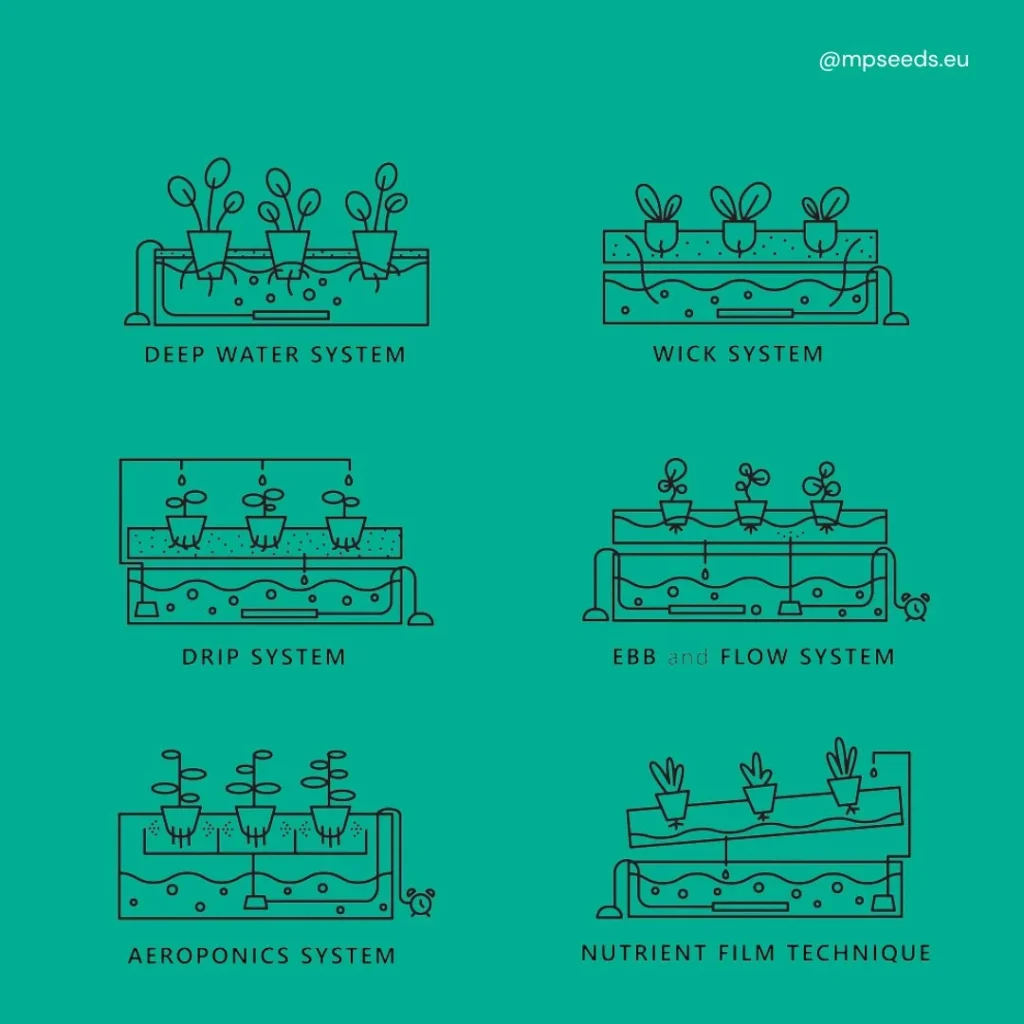 Illustration de six systèmes hydroponiques : culture en eau profonde, système à mèche, système de goutte-à-goutte, système à flux et reflux, aéroponie et technique du film nutritif